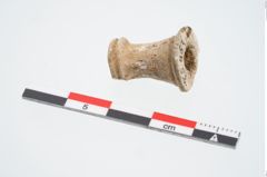 Foto von Beinnadelspitzenschoner (NHMW-PRAE-025452)